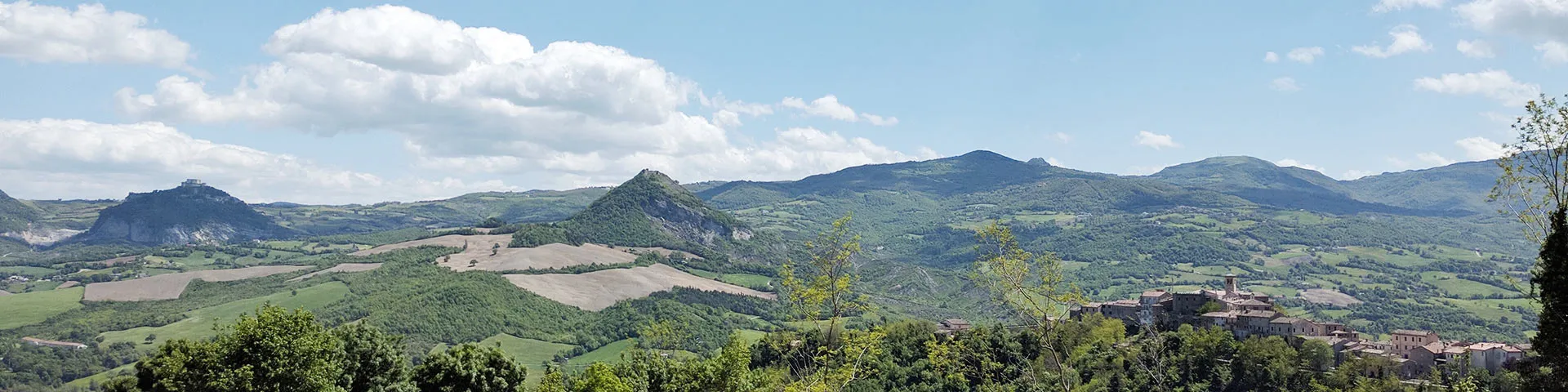 La nostra azienda La nostra azienda